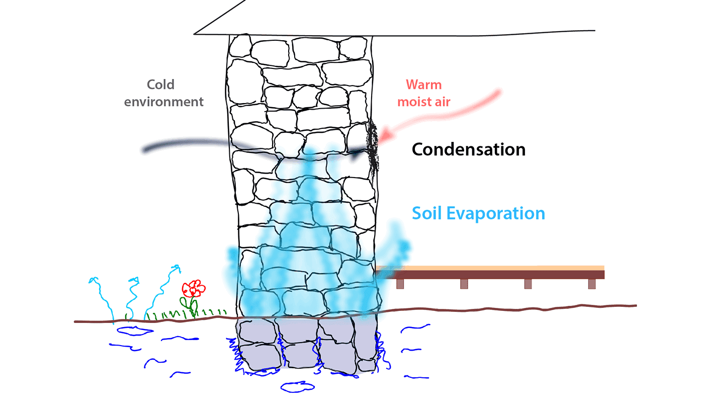 Condensation vs Rising Damp