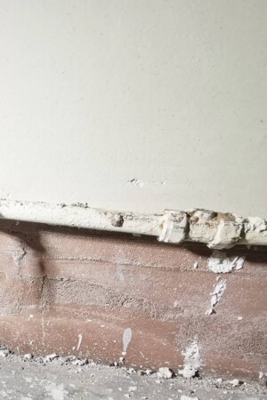 calcina-fine-main-core-conservation