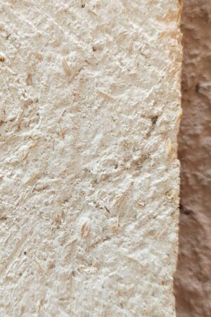 canapa-detail-core-conservation