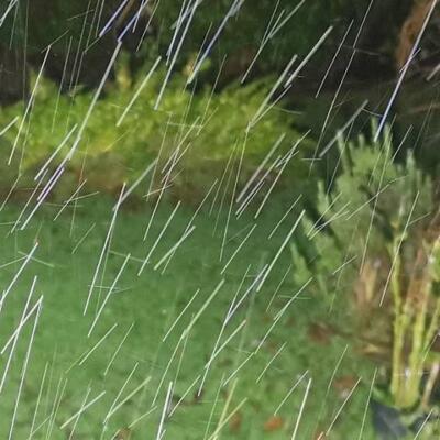 coreconservation banners banner cond23