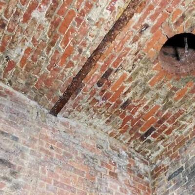 coreconservation banners basement banner4195