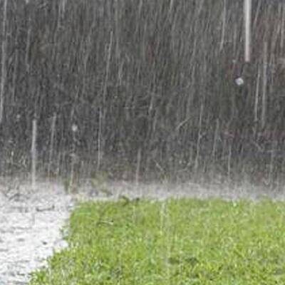 coreconservation banners rain banner148