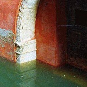 coreconservation banners rinzafoo banner156