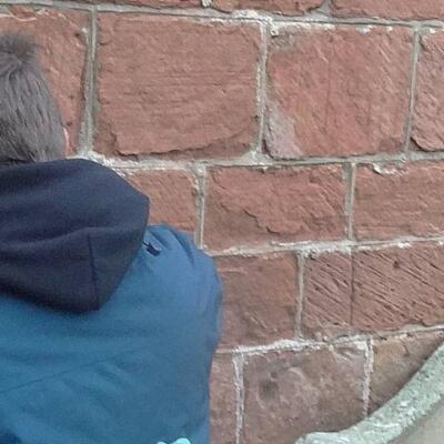 coreconservation banners survey2173