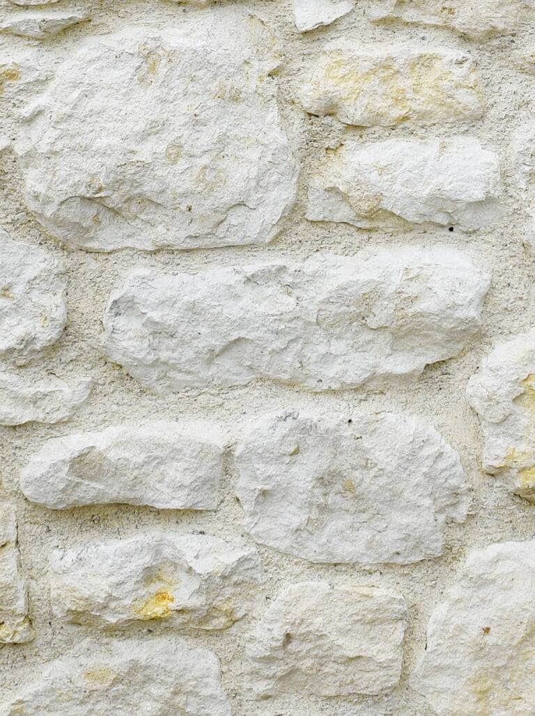 erega-main2-core-conservation