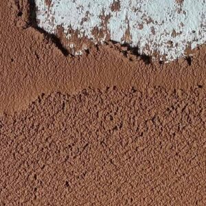 fondo-banner2-core-conservation