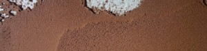 fondo-banner2-core-conservation