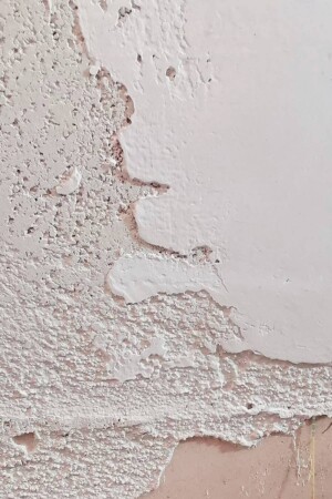 megastuk-main-core-conservation