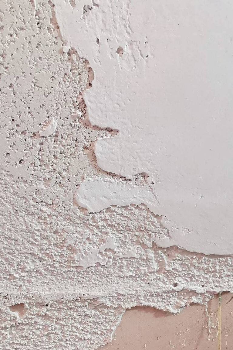 megastuk-main-core-conservation