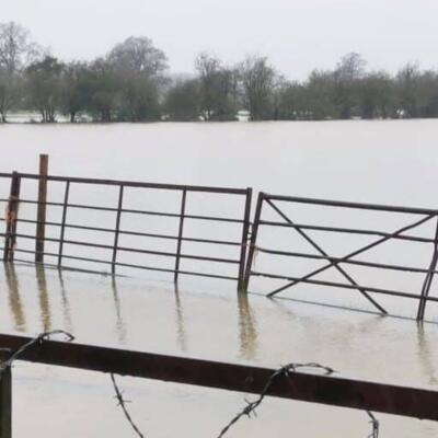 flooding-banner2-core-conservation