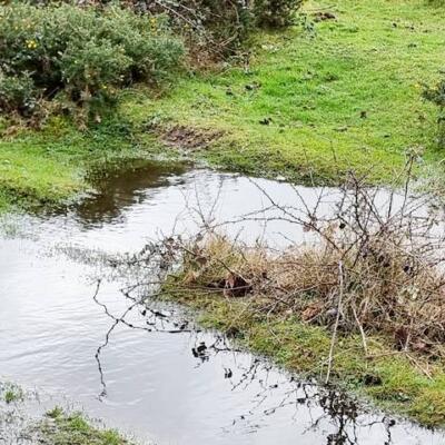 high-water-table-banner2-core-conservation