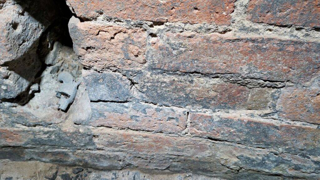 IMG_20221111_153228-A1400x787-core-conservation