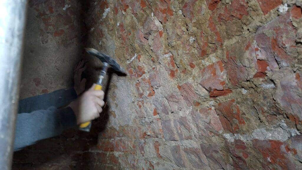 IMG_20230113_113612_1-A1400x787-core-conservation