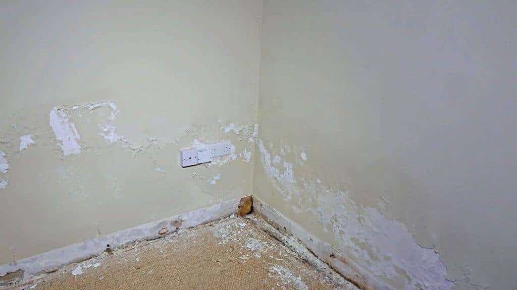 internal-wall-core-conservation