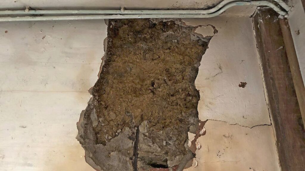 cement-off-core-conservation