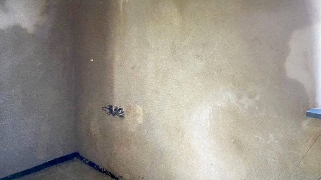 damp-walls-core-conservation-1
