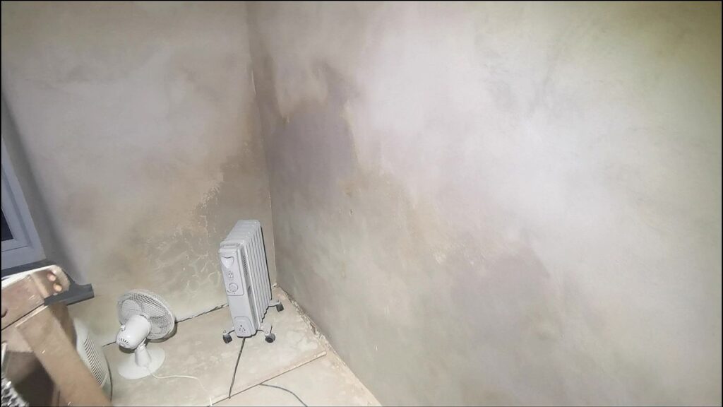 vid-20221130-185811-mp4-20240805-210543-750-a1400x787-core-conservation