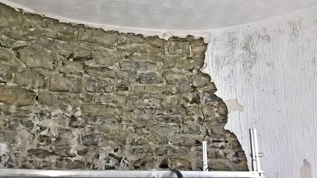 mould-core-conservation