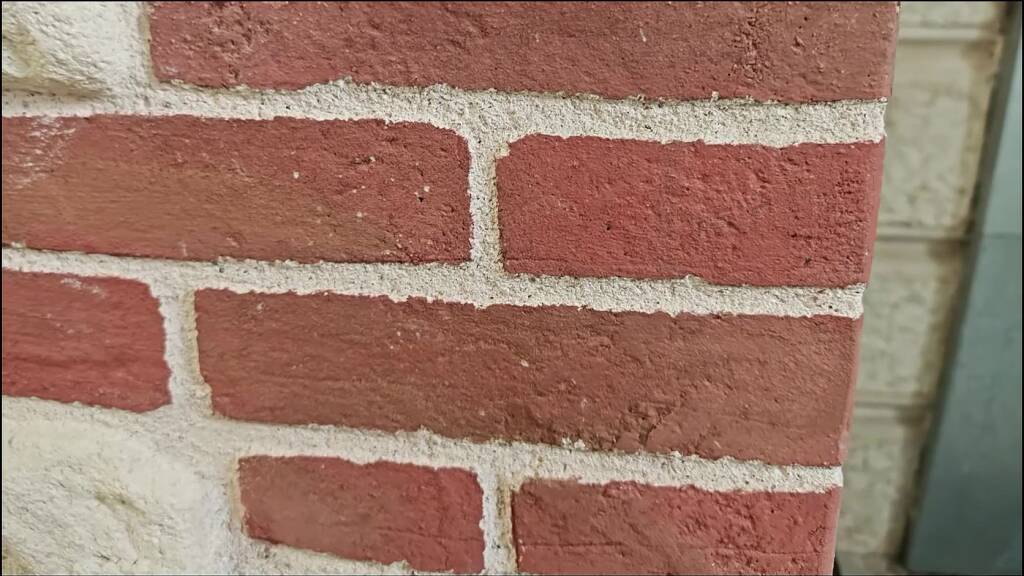 sanacolor-vid-20240531-135211503-mp4-20241002-143316-467-a1400x787-core-conservation