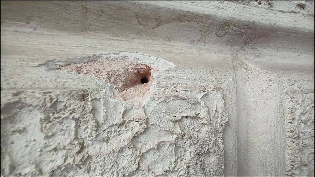 sanacolor-vid-20240531-135211503-mp4-20241002-145018-467-a1400x787-core-conservation