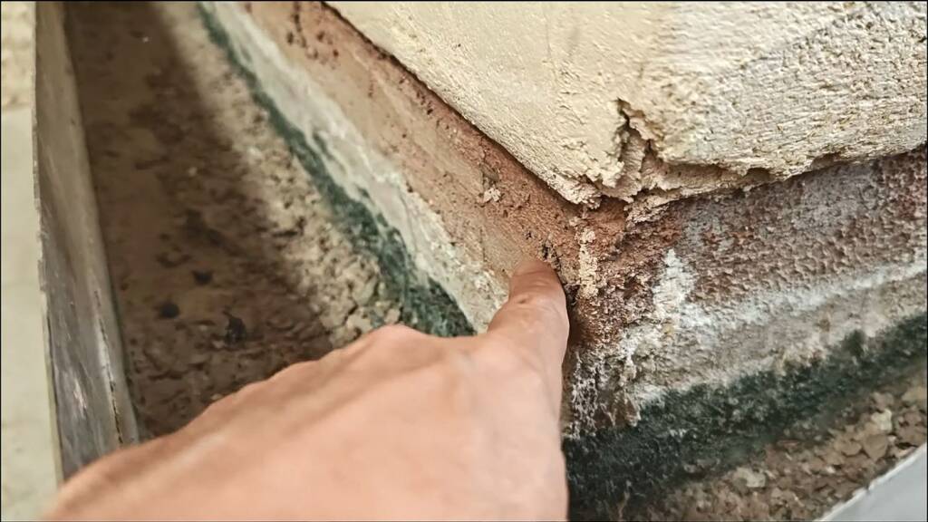 sanacolor-vid-20240531-135211503-mp4-20241109-011757-951-a1400x787-core-conservation