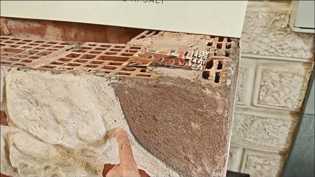 sanacolor-vid-20240531-135211503-mp4-20241109-012135-086-a1400x787-core-conservation