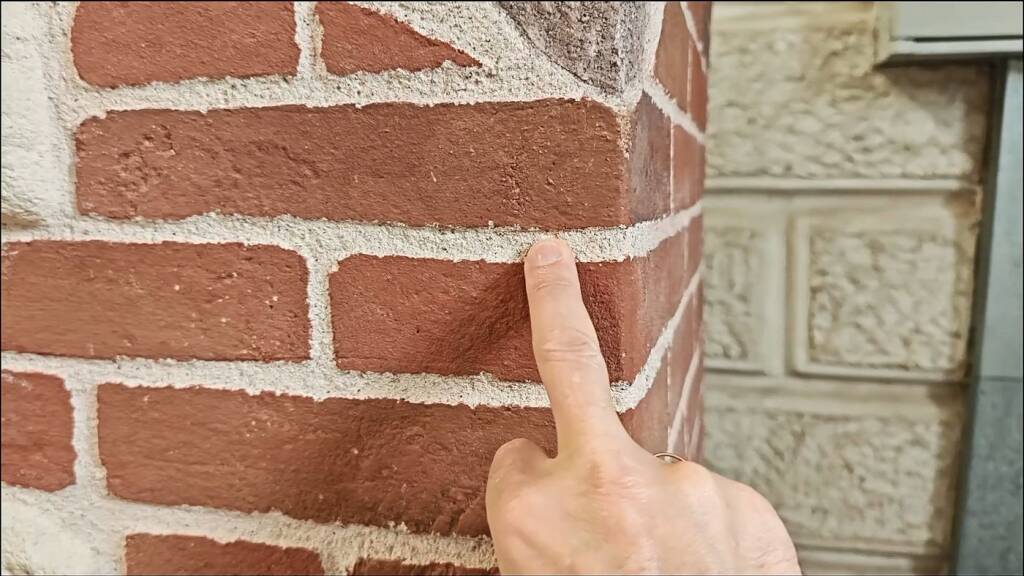 sanacolor-vid-20240531-135211503-mp4-20241109-012339-082-a1400x787-core-conservation