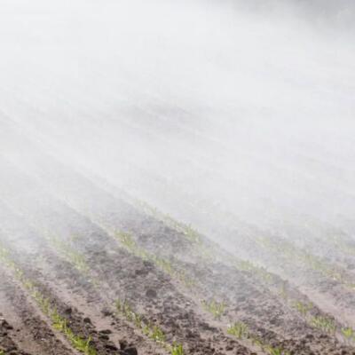evaporation-banner-core-conservation