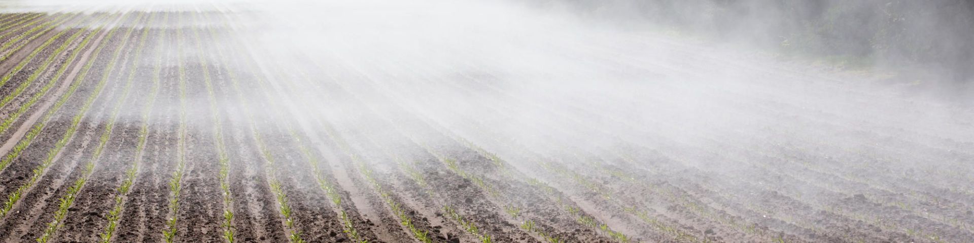 evaporation-banner-core-conservation