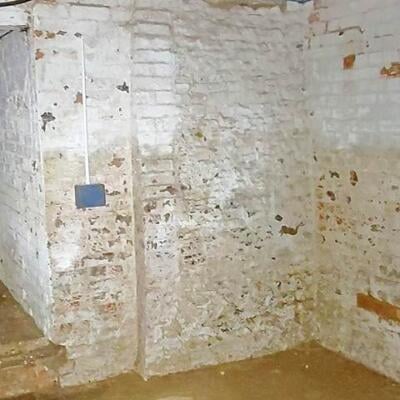 banner-cellar2-core-conservation