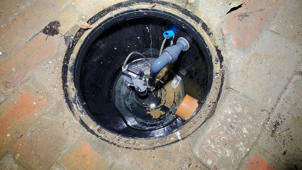 img-20250610-110536594-hdr-ae-a1400x787-core-conservation