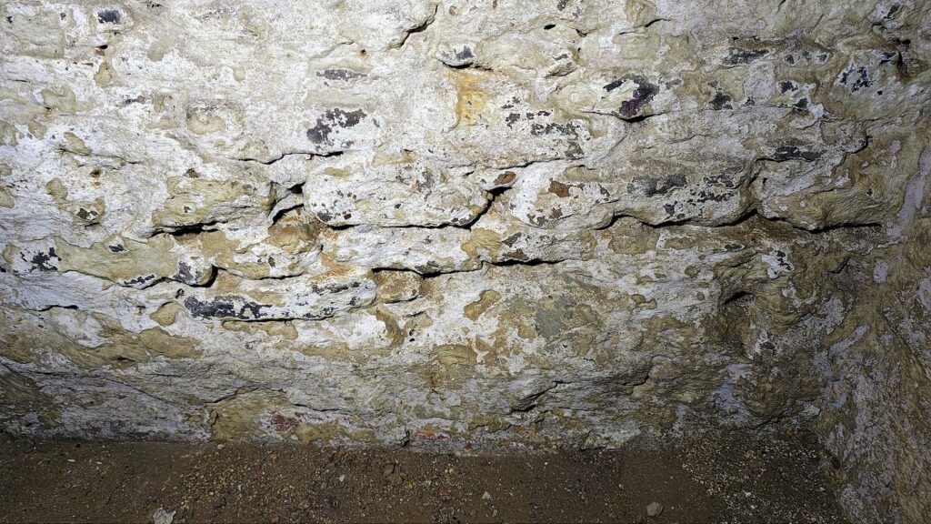 img-20250610-122725715-hdr-ae-a1400x787-core-conservation