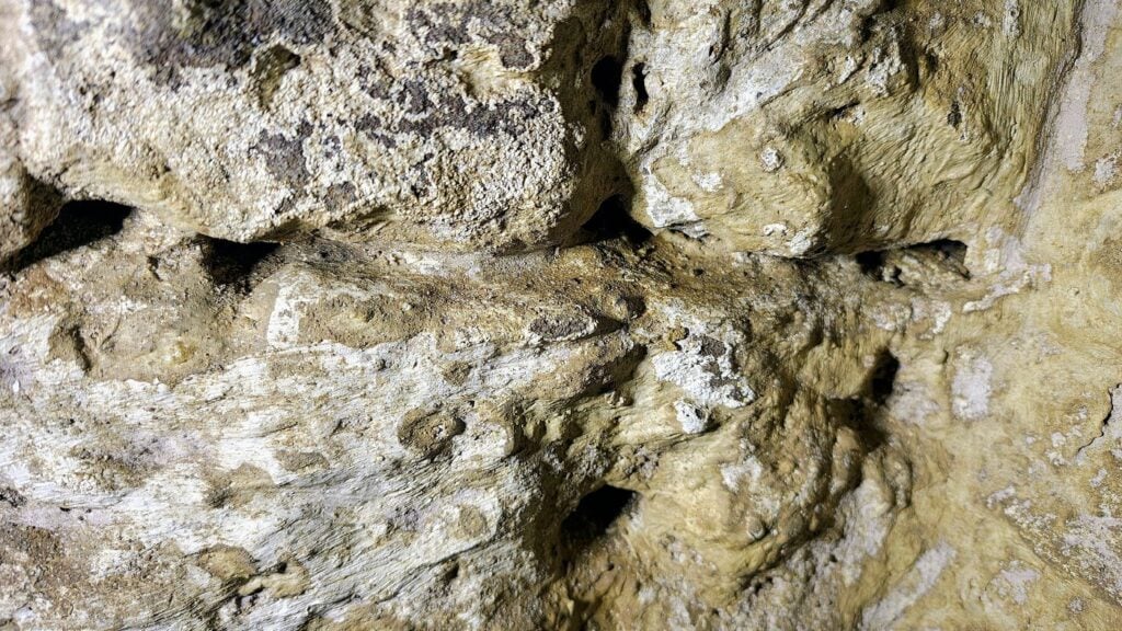 img-20250610-122747452-hdr-ae-a1400x787-core-conservation