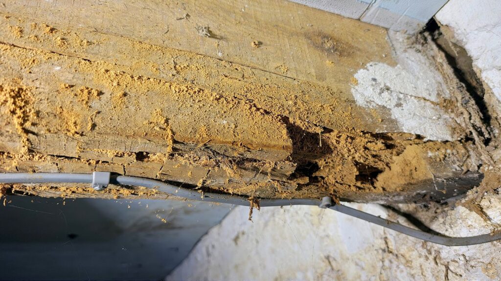 img-20250610-130703765-hdr-ae-a1400x787-core-conservation