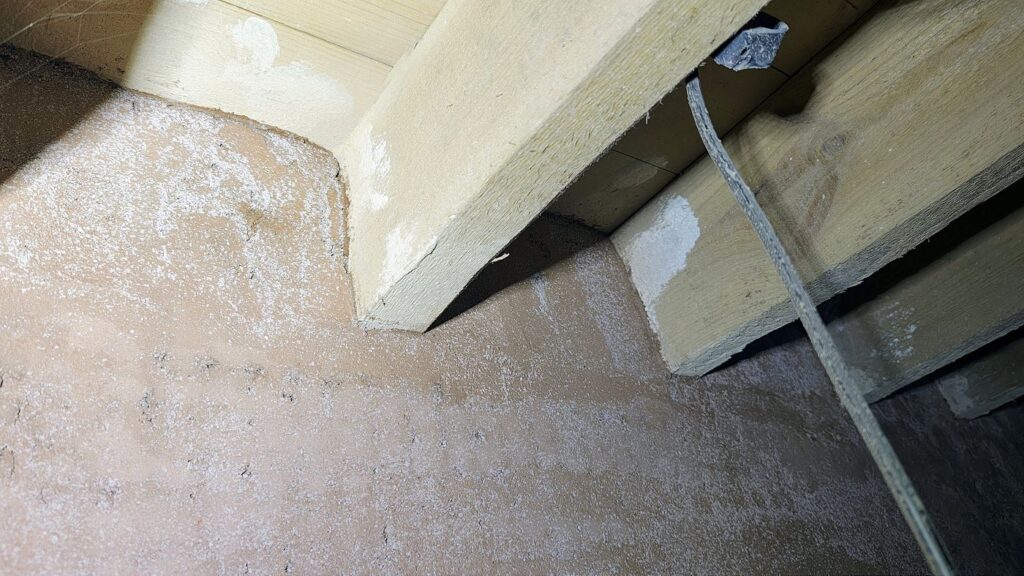 img-20251204-172238310-hdr-ae-a1400x787-core-conservation