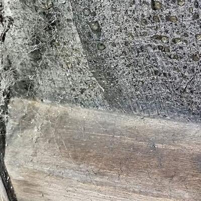 banner-roof-1-core-conservation