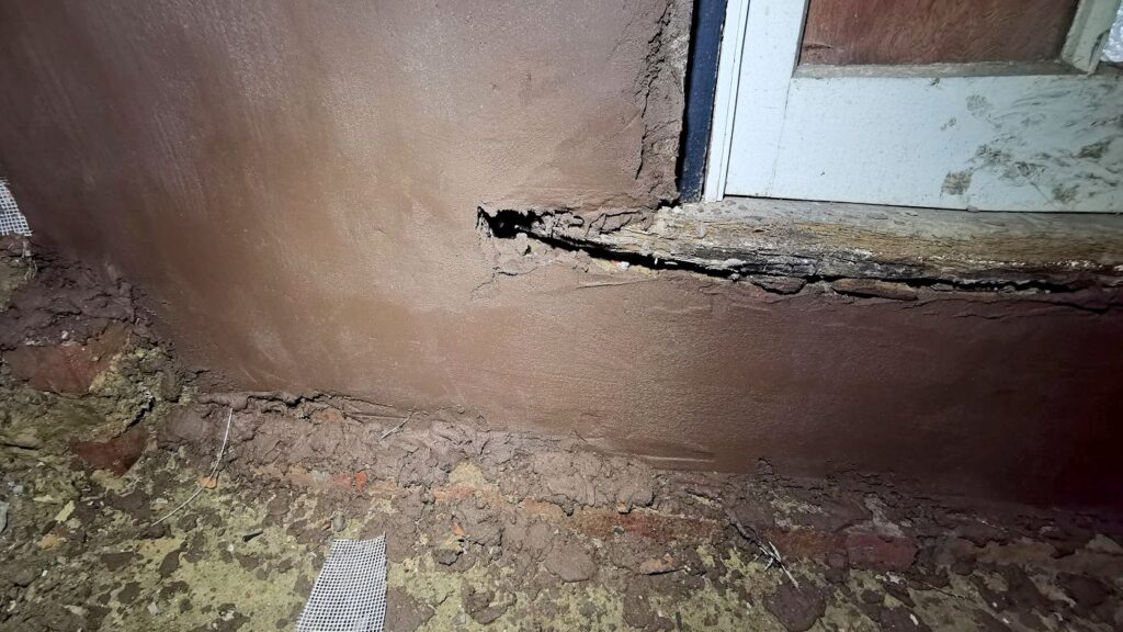 rinzaffo-core-conservation