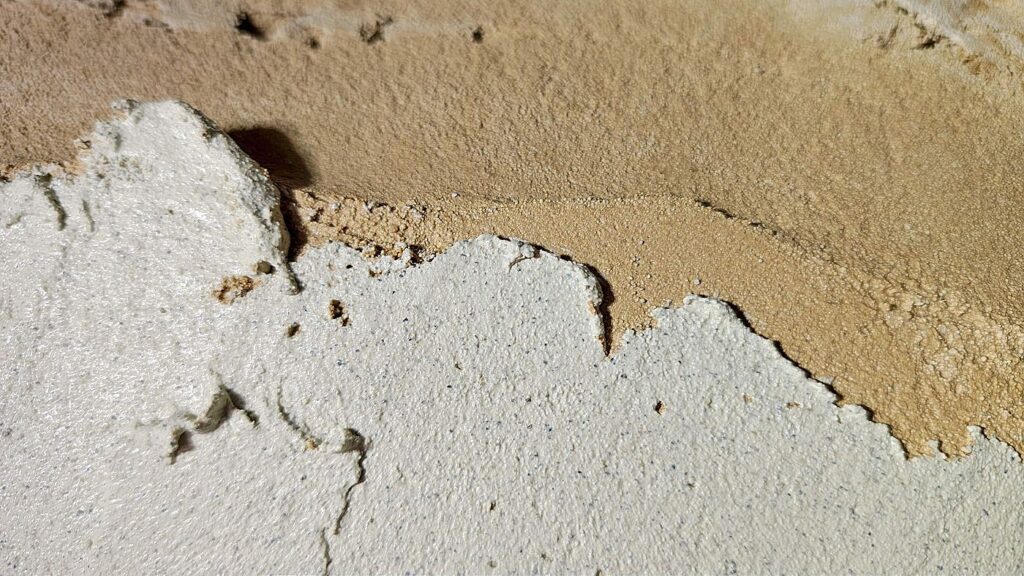 rinzaffo1-core-conservation