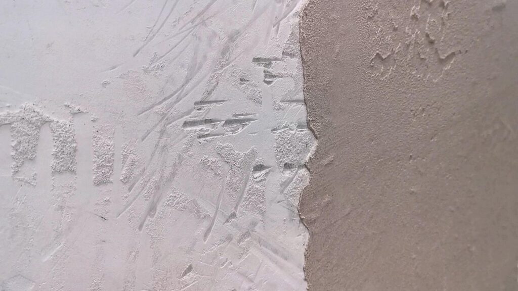 sh-rasacol-application-vid-20220913-103028-mp4-20260110-191518-312-a1400x787-core-conservation-1