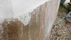 img-20250612-160255705-hdr-ae-a1400x787-core-conservation