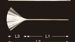 open-hand1-core-conservation
